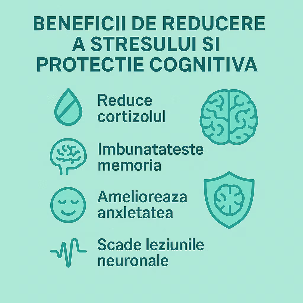 Beneficii de reducere a stresului și protecție cognitivă